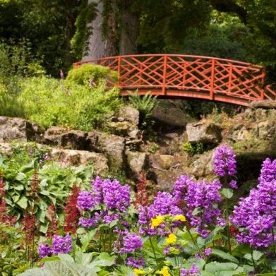 Batsford Arboretum and Garden Centre